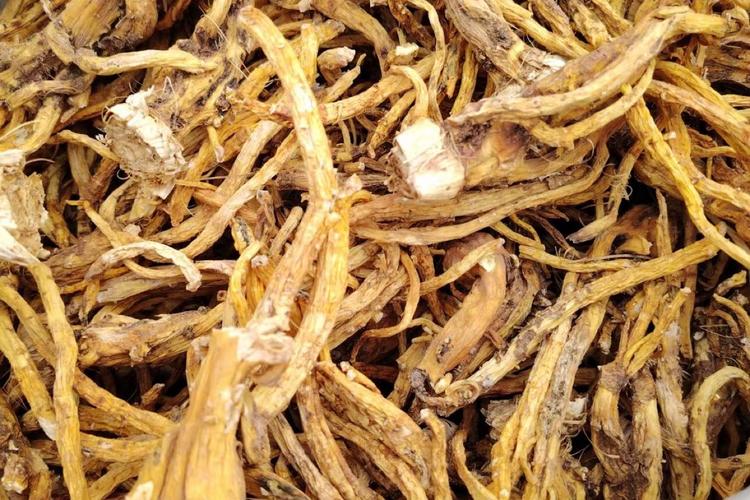 中药材秦艽该如何种植才高产_丽江蔬菜种植技巧和方法 中药材秦艽该如何种植才高产_丽江蔬菜种植技巧和方法 番茄病虫害防治