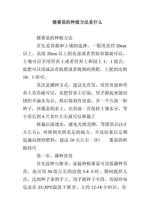 矮番茄种植方法_家庭种植矮番茄怎么种植的 植物种类 矮番茄种植方法_家庭种植矮番茄怎么种植的 矮番茄种植方法_家庭种植矮番茄怎么种植的 植物种类