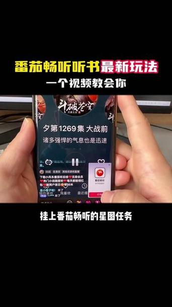 番茄畅听推广视频怎么做_番茄种植后怎么拍摄视频教程 番茄畅听推广视频怎么做_番茄种植后怎么拍摄视频教程 土壤施肥