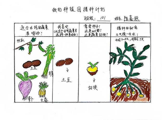 幼儿园种植蔬菜方法_14种蔬菜种植技巧图片大全 幼儿园种植蔬菜方法_14种蔬菜种植技巧图片大全 番茄种植技巧