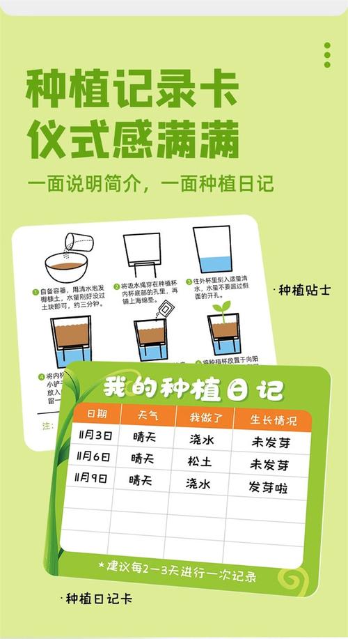 迷你番茄盆栽种植方法_迷你番茄怎么种植的图片大全 迷你番茄盆栽种植方法_迷你番茄怎么种植的图片大全 花朵知识