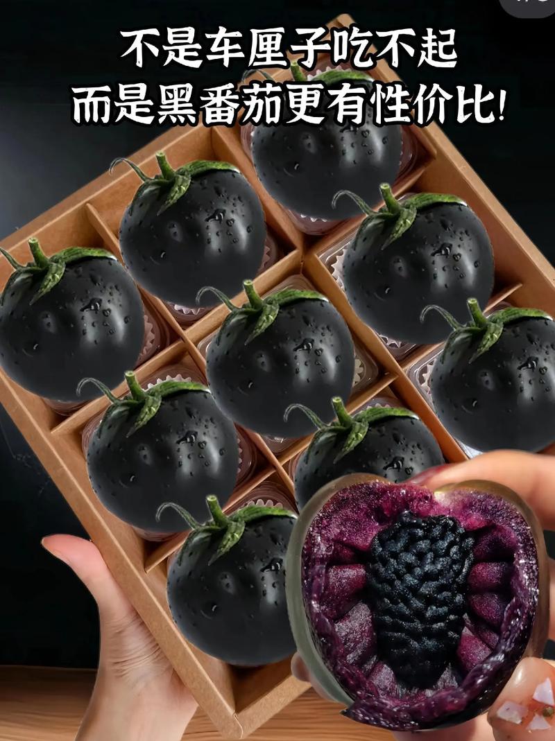 黑西红柿做法_种黑色番茄在家怎么种植呢 黑西红柿做法_种黑色番茄在家怎么种植呢 种植技巧