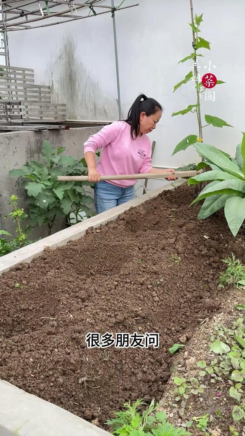 三农视频可以拍哪些内容_庭园蔬菜种植技巧视频教程 三农视频可以拍哪些内容_庭园蔬菜种植技巧视频教程 种植技巧