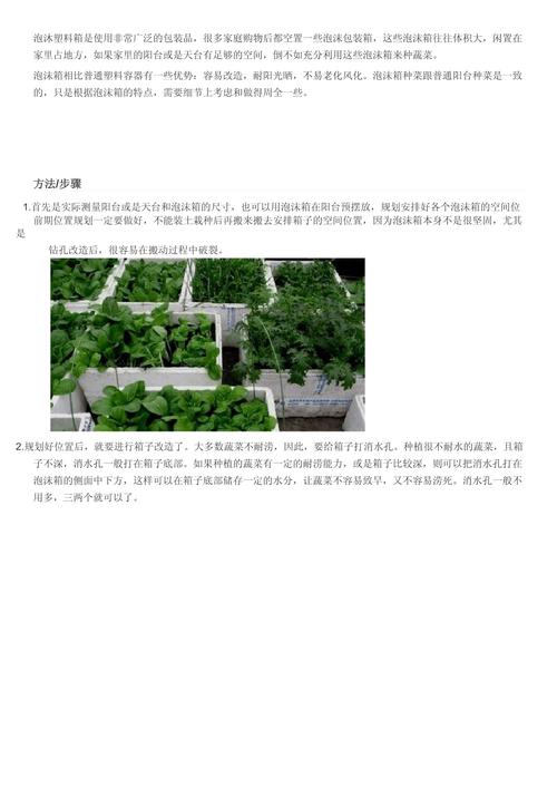 在家用泡沫箱怎么种菜_泡沫箱番茄阳台怎么种植视频 农业常识 在家用泡沫箱怎么种菜_泡沫箱番茄阳台怎么种植视频 在家用泡沫箱怎么种菜_泡沫箱番茄阳台怎么种植视频 农业常识