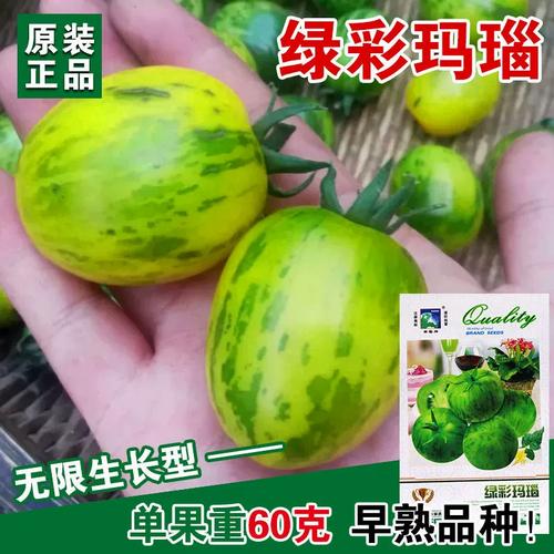 玛瑙有绿色的么_红玛瑙番茄种子怎么种植视频 农业常识 玛瑙有绿色的么_红玛瑙番茄种子怎么种植视频 玛瑙有绿色的么_红玛瑙番茄种子怎么种植视频 农业常识