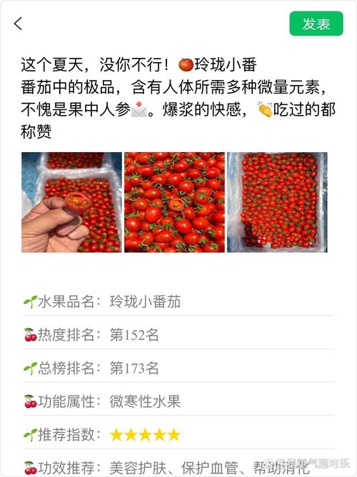 小番茄的文案_新手种植番茄文案怎么写好 小番茄的文案_新手种植番茄文案怎么写好 土壤施肥