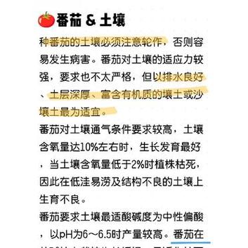 种植西红柿土壤的配方_番茄种植蛭石怎么用的 种植西红柿土壤的配方_番茄种植蛭石怎么用的 番茄病虫害防治