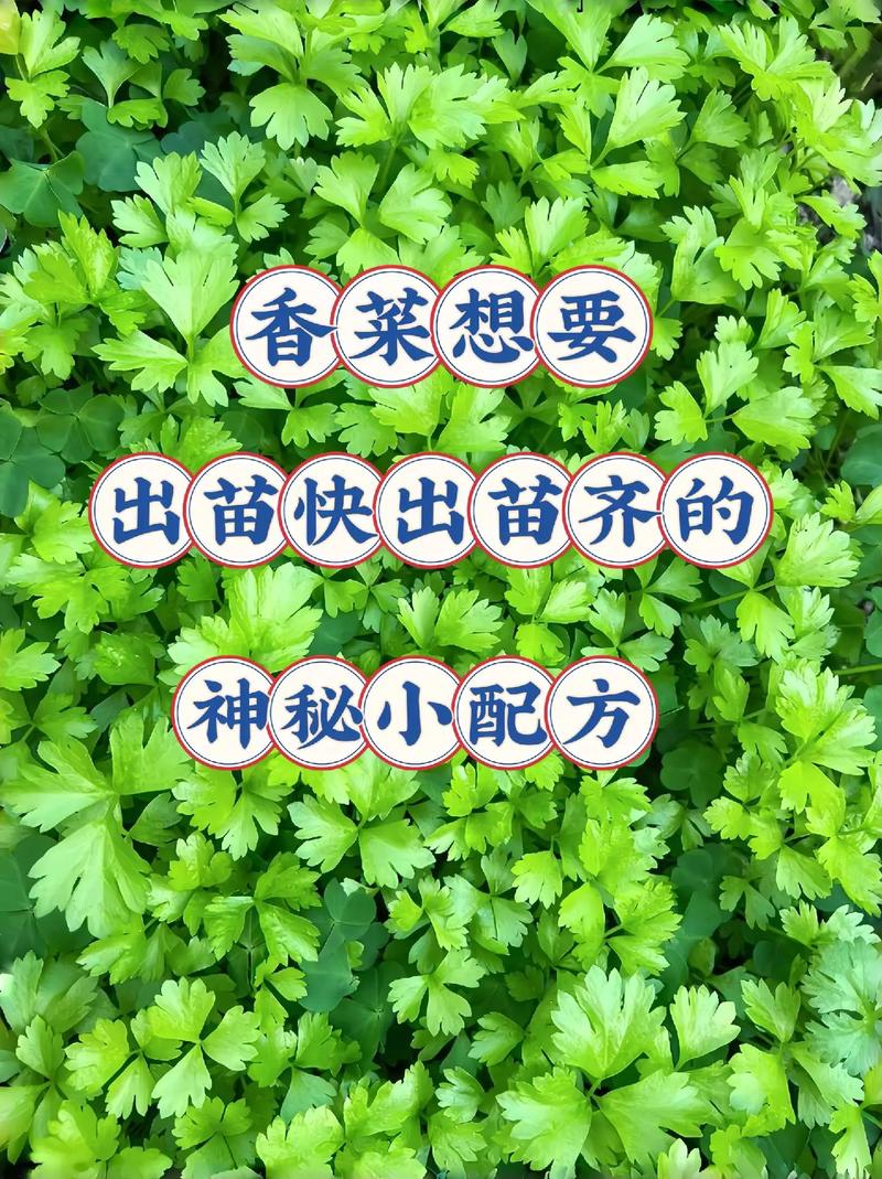 餐饮的“新品”如何成为“爆品”_蔬菜种植小妙招 餐饮的“新品”如何成为“爆品”_蔬菜种植小妙招 种植技巧