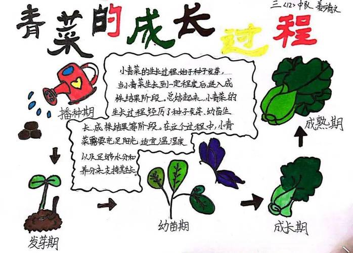 幼儿园亲子种植蔬菜文案_蔬菜种植技巧文案简短 土壤施肥 幼儿园亲子种植蔬菜文案_蔬菜种植技巧文案简短 幼儿园亲子种植蔬菜文案_蔬菜种植技巧文案简短 土壤施肥