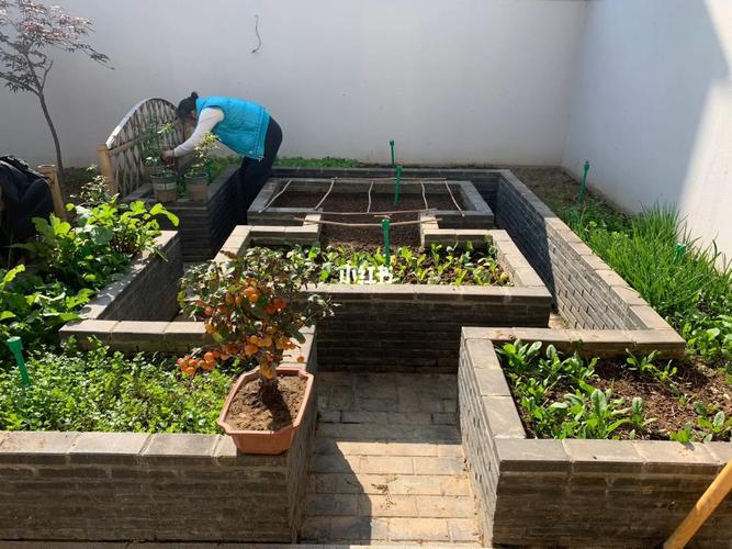 想做一个实用型花园，蔬菜花园怎么设计养护_花园蔬菜种植小技巧简单视频 想做一个实用型花园，蔬菜花园怎么设计养护_花园蔬菜种植小技巧简单视频 花朵知识