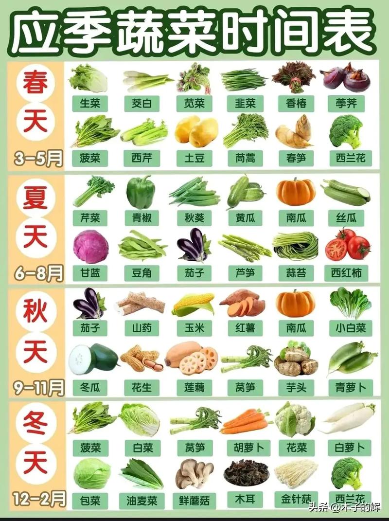 每月的最佳应季蔬菜_应季蔬菜种植技巧和方法 每月的最佳应季蔬菜_应季蔬菜种植技巧和方法 花朵知识