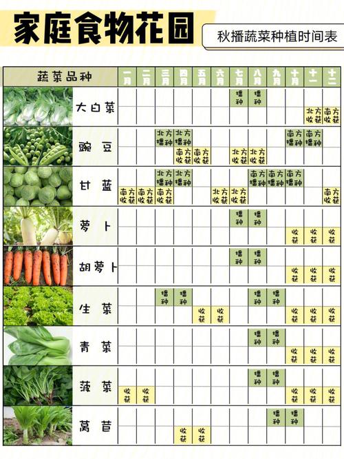 广东蔬菜种植时间_潮汕蔬菜种植技巧与方法视频 广东蔬菜种植时间_潮汕蔬菜种植技巧与方法视频 种植技巧