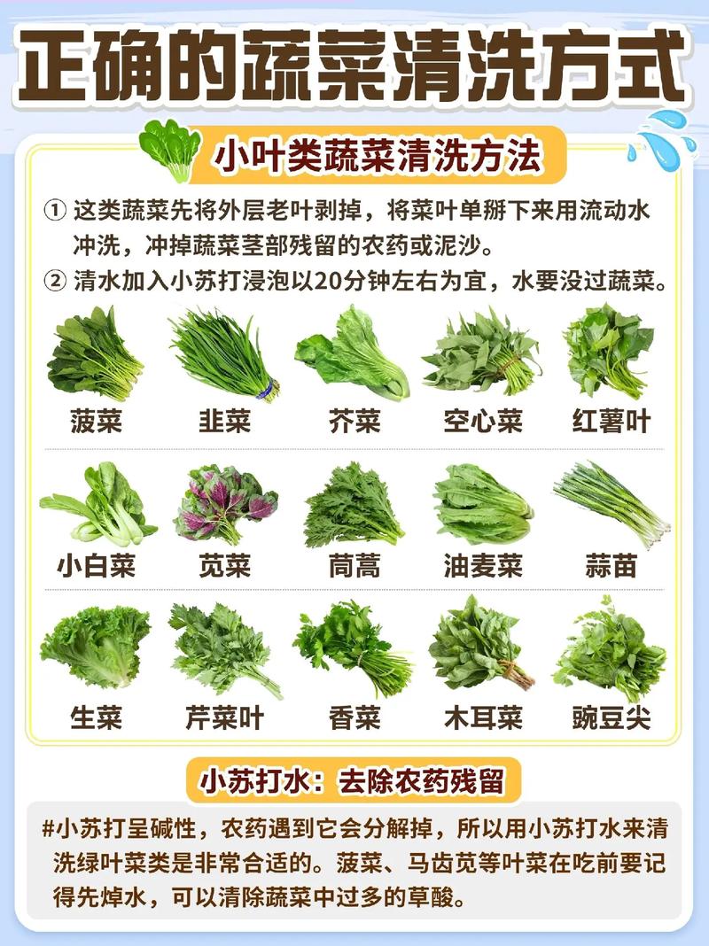 东北人是怎么屯大白菜的_哈尔滨蔬菜种植技巧视频教程 东北人是怎么屯大白菜的_哈尔滨蔬菜种植技巧视频教程 土壤施肥