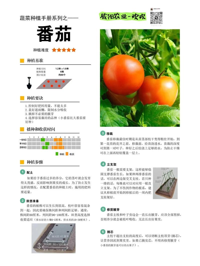 有机蔬菜种植技术_中国有机蔬菜种植小技巧有哪些 有机蔬菜种植技术_中国有机蔬菜种植小技巧有哪些 花朵知识