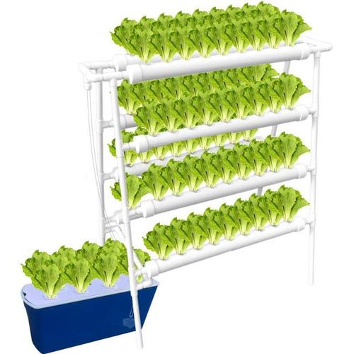 pvc排水管怎样种蔬菜_儿童蔬菜种植小技巧简单图片 pvc排水管怎样种蔬菜_儿童蔬菜种植小技巧简单图片 花朵知识