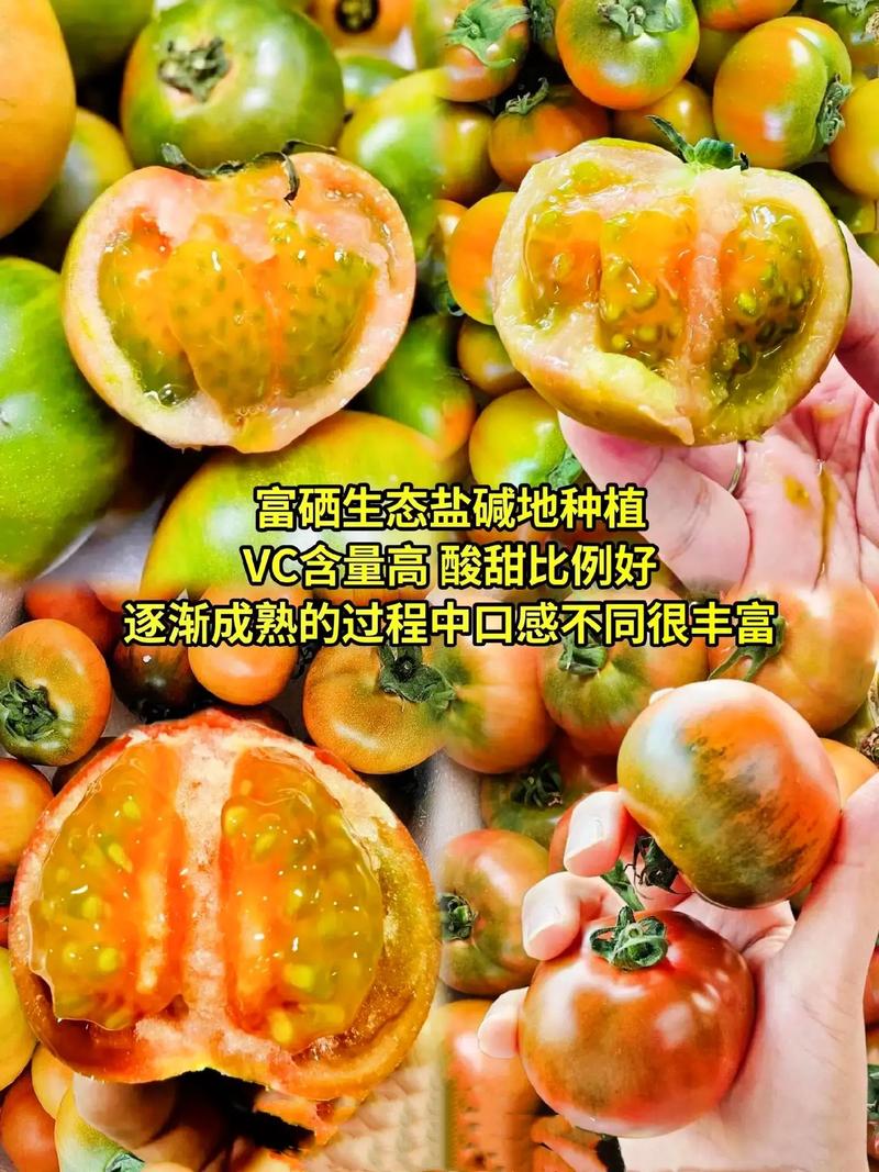 碱地西红柿的优点和缺点_碱地番茄怎么种植方法视频 碱地西红柿的优点和缺点_碱地番茄怎么种植方法视频 花朵知识
