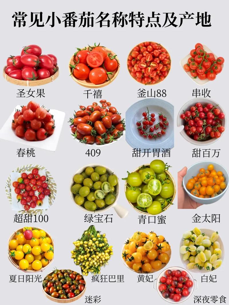 番茄口味起什么名字好听_番茄种植店铺名称怎么取好听 番茄口味起什么名字好听_番茄种植店铺名称怎么取好听 番茄种植技巧