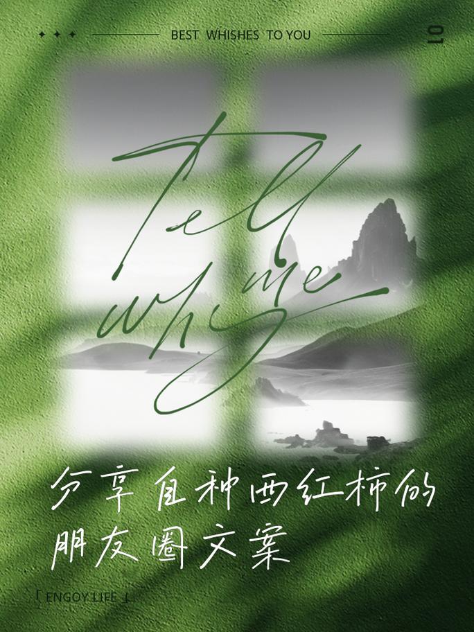 栽种西红柿的幽默文案_番茄种植花卉文案怎么写好 栽种西红柿的幽默文案_番茄种植花卉文案怎么写好 种植技巧