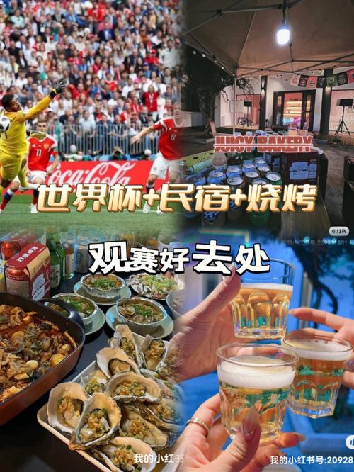 世界杯小程序,科技赋能足球狂欢，打造指尖上的足球盛宴 世界杯小程序,科技赋能足球狂欢，打造指尖上的足球盛宴 番茄病虫害防治