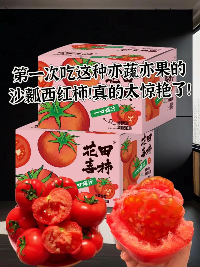 沙瓤西红柿为什么没有了_沙漠番茄种子怎么种植视频 沙瓤西红柿为什么没有了_沙漠番茄种子怎么种植视频 番茄种植技巧
