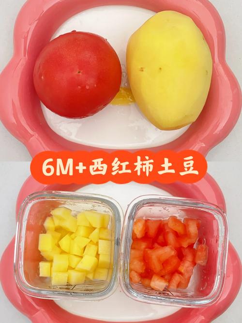 潮汕番茄土豆做法_潮汕番茄种子怎么种植的 潮汕番茄土豆做法_潮汕番茄种子怎么种植的 植物种类