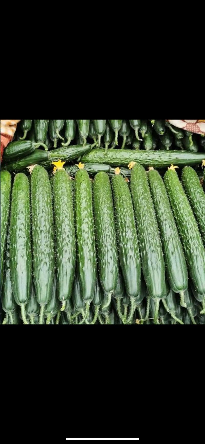 四棱豆怎么进行栽种管理？有哪些技术要点_西瓜番茄黄瓜怎么种植视频 四棱豆怎么进行栽种管理？有哪些技术要点_西瓜番茄黄瓜怎么种植视频 花朵知识
