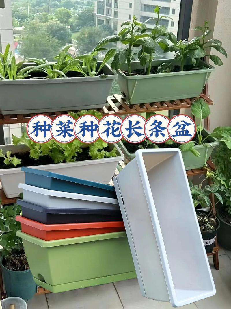 长条形阳台空间怎么利用_长条盆栽番茄怎么种植视频 番茄种植技巧 长条形阳台空间怎么利用_长条盆栽番茄怎么种植视频 长条形阳台空间怎么利用_长条盆栽番茄怎么种植视频 番茄种植技巧