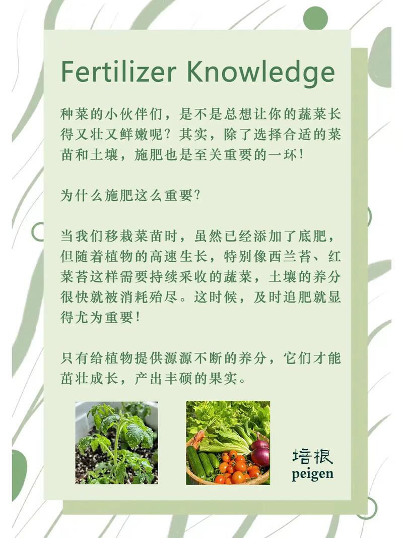 在农村种植蔬菜，你觉得怎样施肥才是科学的_农家蔬菜种植技巧和方法视频 在农村种植蔬菜，你觉得怎样施肥才是科学的_农家蔬菜种植技巧和方法视频 花朵知识