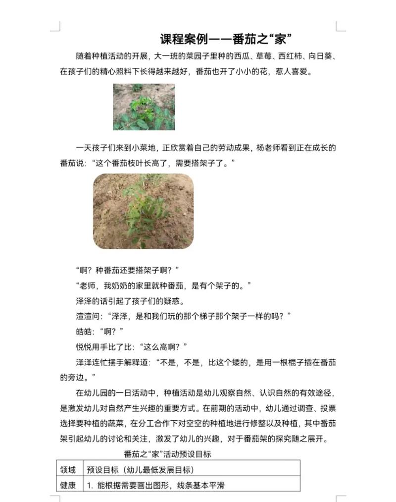 番茄星火计划是每个月都有吗_小番茄种植目标怎么写的 番茄星火计划是每个月都有吗_小番茄种植目标怎么写的 植物种类