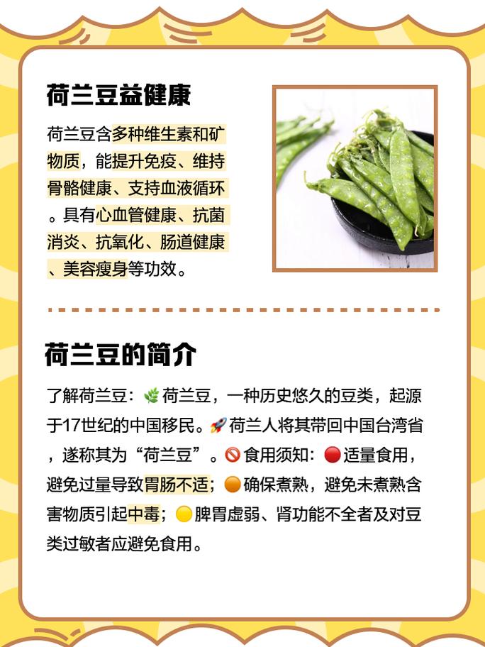 怎样种植荷兰豆_蔬菜种植技巧讲解图视频大全 怎样种植荷兰豆_蔬菜种植技巧讲解图视频大全 种植技巧