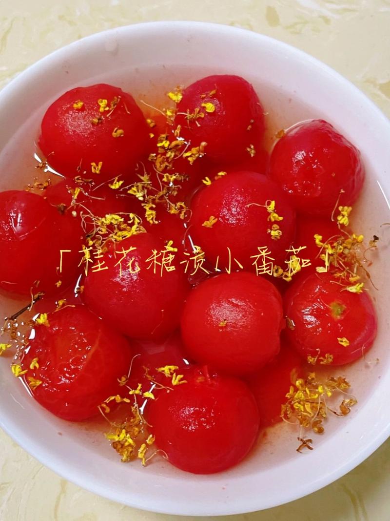 桂花小番茄做法_蜜糖小番茄怎么种植视频 土壤施肥 桂花小番茄做法_蜜糖小番茄怎么种植视频 桂花小番茄做法_蜜糖小番茄怎么种植视频 土壤施肥