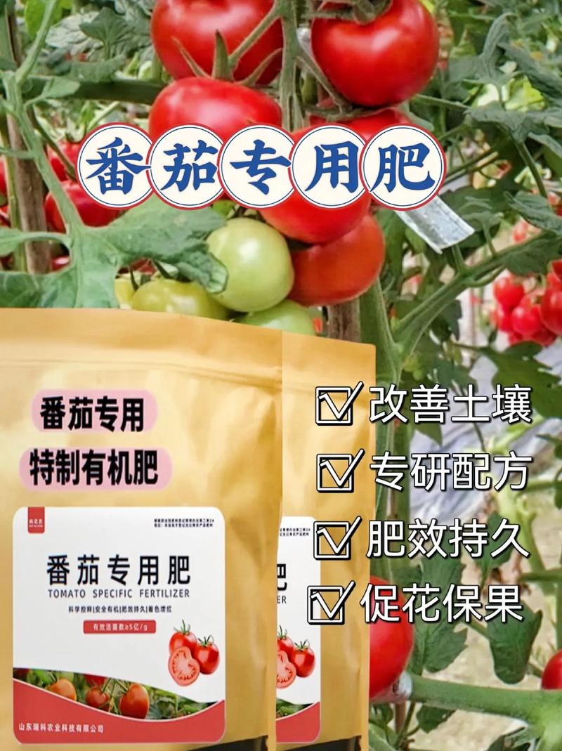 什么叫西红柿冲施浇肥_番茄种植怎么施底肥最好 什么叫西红柿冲施浇肥_番茄种植怎么施底肥最好 农业常识