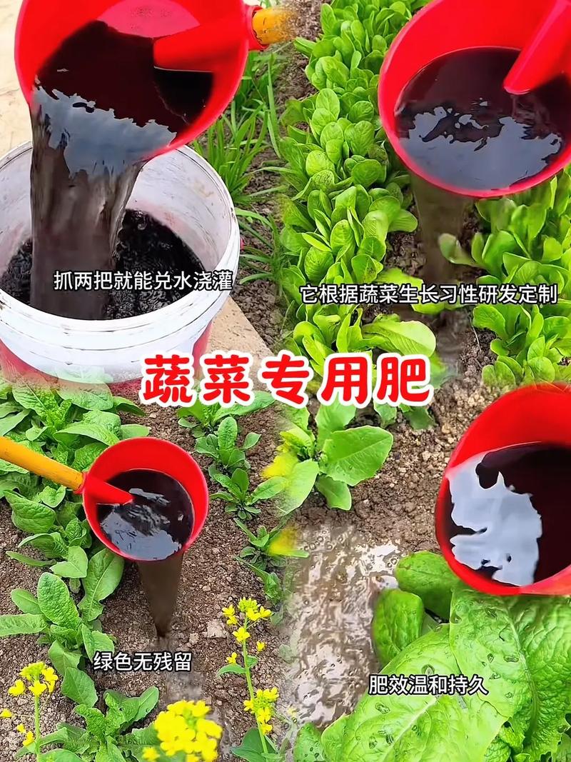 种植蔬菜，用什么肥料做底肥好_蔬菜种植中化肥使用技巧视频 种植蔬菜，用什么肥料做底肥好_蔬菜种植中化肥使用技巧视频 番茄病虫害防治