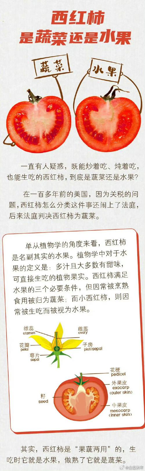 大年三十吃饭的句子文案_兔年番茄种子怎么种植的 大年三十吃饭的句子文案_兔年番茄种子怎么种植的 番茄病虫害防治