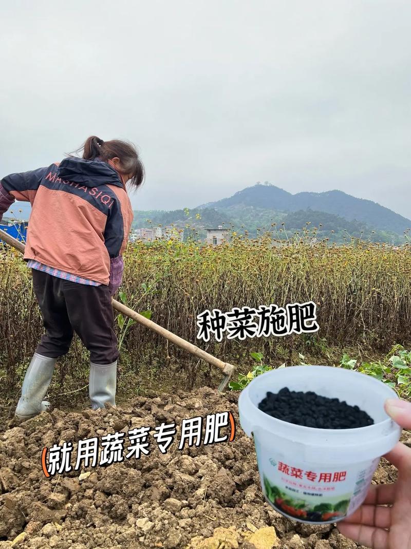 如何自制可替代含氮元素高的肥使用在家庭蔬菜种植中_种蔬菜的照片 如何自制可替代含氮元素高的肥使用在家庭蔬菜种植中_种蔬菜的照片 土壤施肥