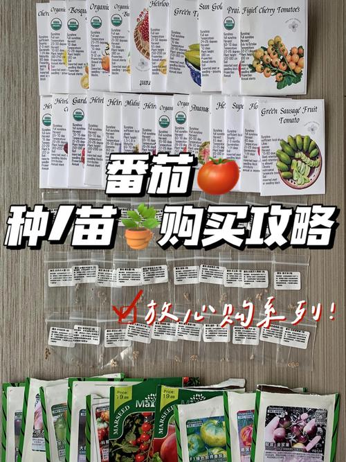 西红柿种子种植方法_种植番茄种子怎么选择 西红柿种子种植方法_种植番茄种子怎么选择 土壤施肥