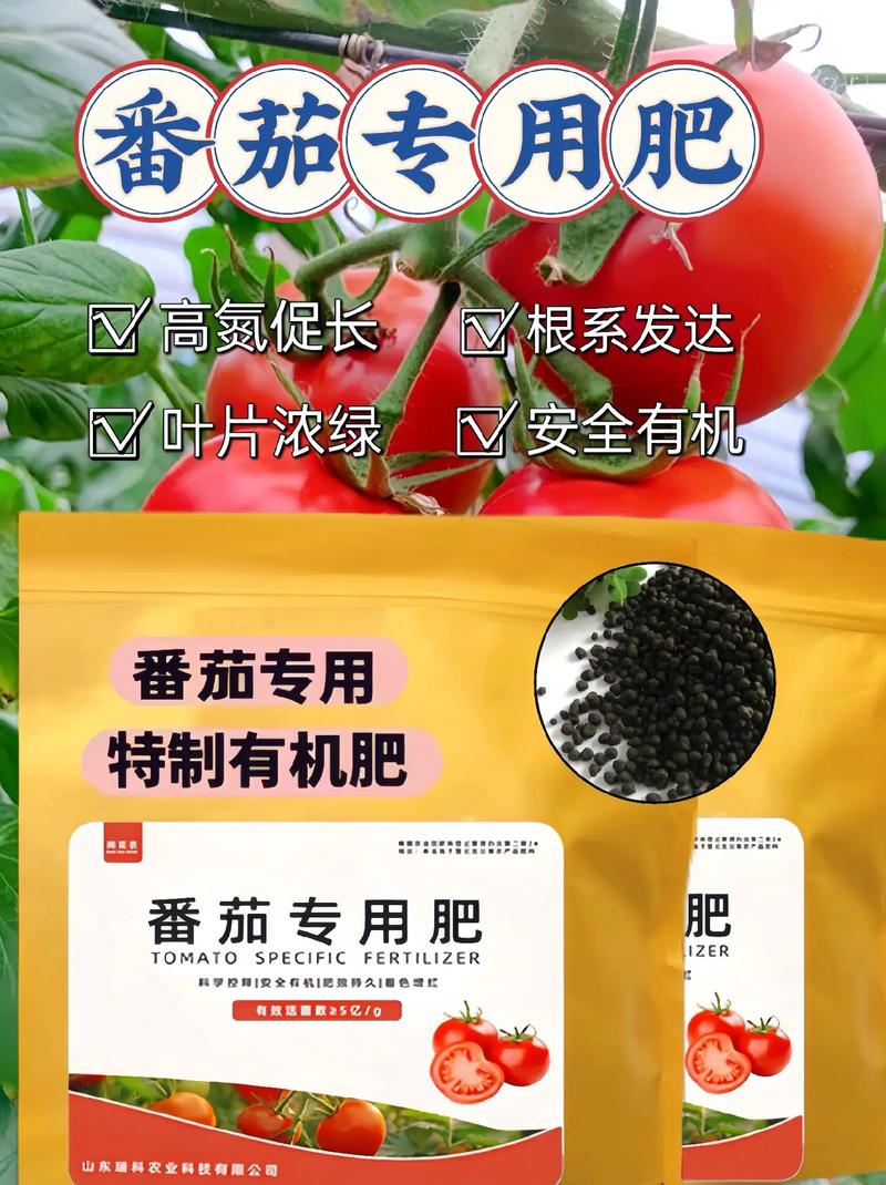 大棚西红柿用什么底肥_番茄种植底肥怎么放的 大棚西红柿用什么底肥_番茄种植底肥怎么放的 番茄病虫害防治