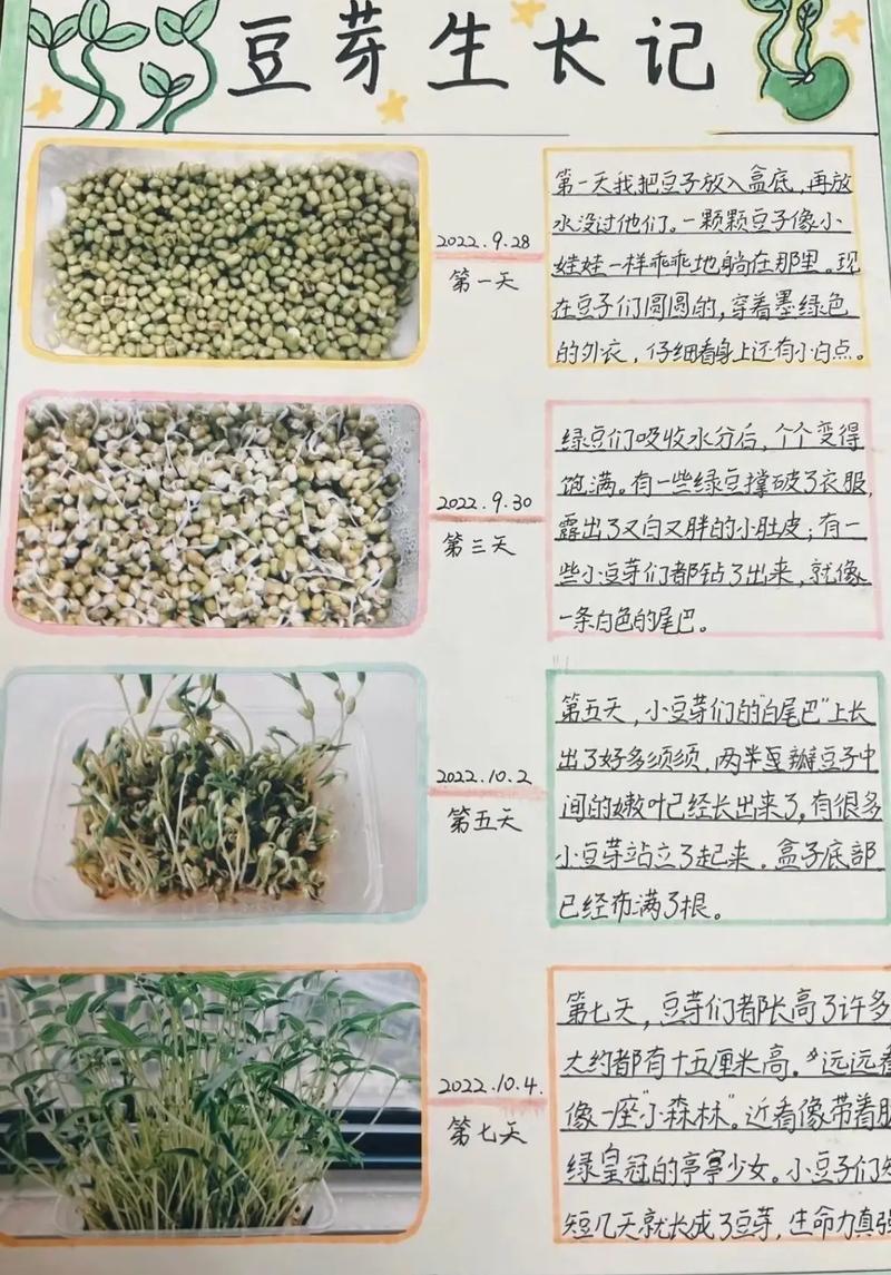 豆芽生长的哪些知识_蔬菜种植小技巧豆芽图片大全 豆芽生长的哪些知识_蔬菜种植小技巧豆芽图片大全 土壤施肥