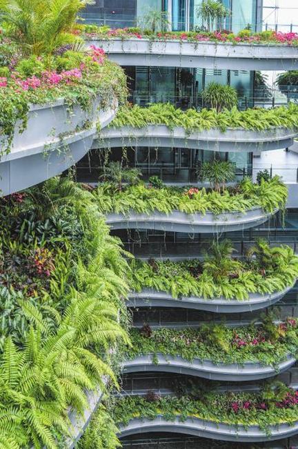 GN植物,绿色设计引领未来建筑潮流 GN植物,绿色设计引领未来建筑潮流 番茄种植技巧