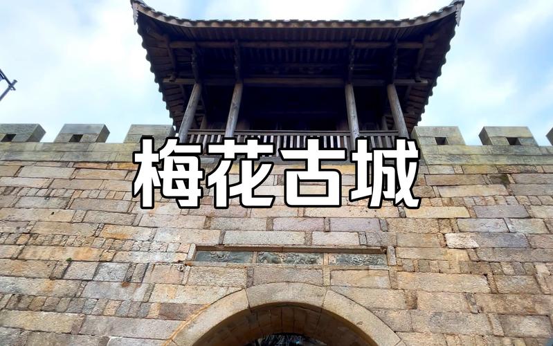 东城洪梅,千年古镇，焕发新颜_探寻古镇魅力，感受文化传承 东城洪梅,千年古镇，焕发新颜_探寻古镇魅力，感受文化传承 番茄种植技巧