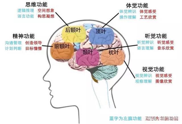 人脑灵感,介绍素材网站设计之路 人脑灵感,介绍素材网站设计之路 农业常识