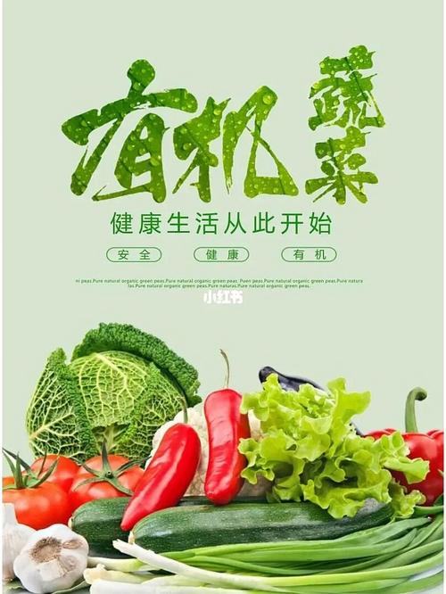 南安果蔬,绿色生态，健康生活的源泉 南安果蔬,绿色生态，健康生活的源泉 番茄种植技巧
