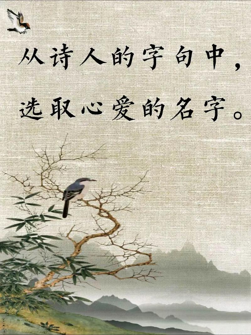 古诗之美,穿越时空的韵律与智慧 古诗之美,穿越时空的韵律与智慧 土壤施肥
