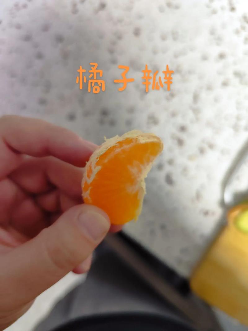 橘子和什么水果在一起榨汁比较好喝_橘子番茄怎么种植视频教程 橘子和什么水果在一起榨汁比较好喝_橘子番茄怎么种植视频教程 花朵知识