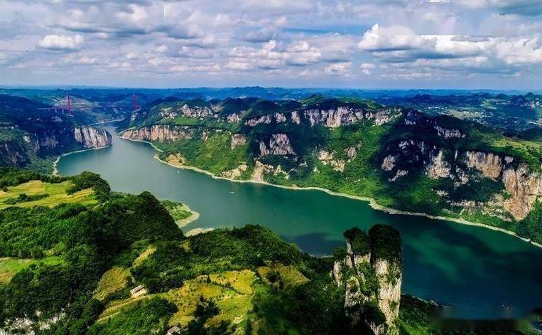 探寻毕节之美,山水之间，文化交融的旅游胜地 探寻毕节之美,山水之间，文化交融的旅游胜地 植物种类