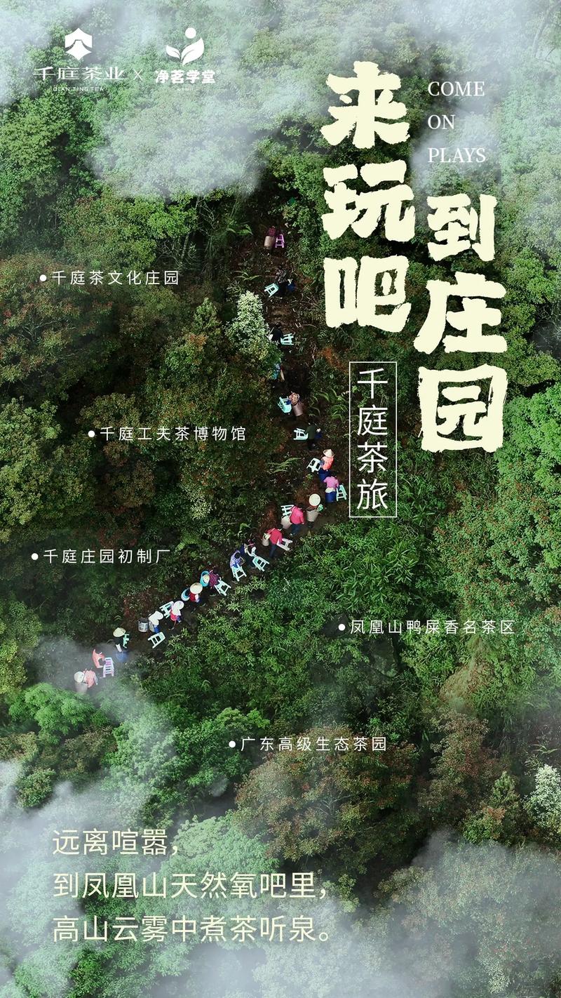 探寻麻涌茶山,千年古村落的魅力与传承 探寻麻涌茶山,千年古村落的魅力与传承 番茄种植技巧