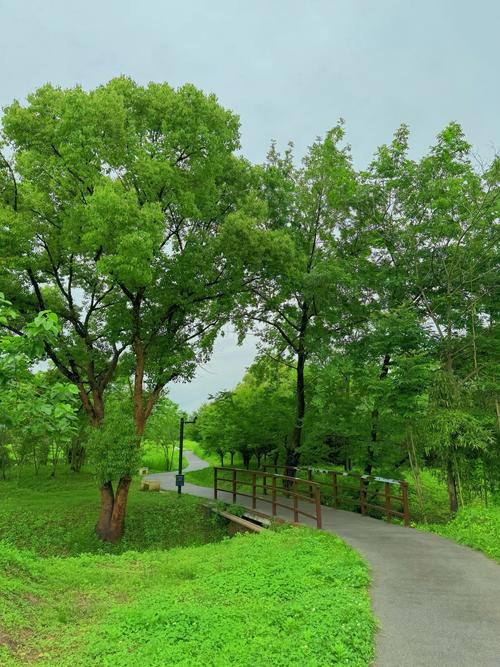 探索景观地图网站,开启城市绿色之旅 种植技巧 探索景观地图网站,开启城市绿色之旅 探索景观地图网站,开启城市绿色之旅 种植技巧