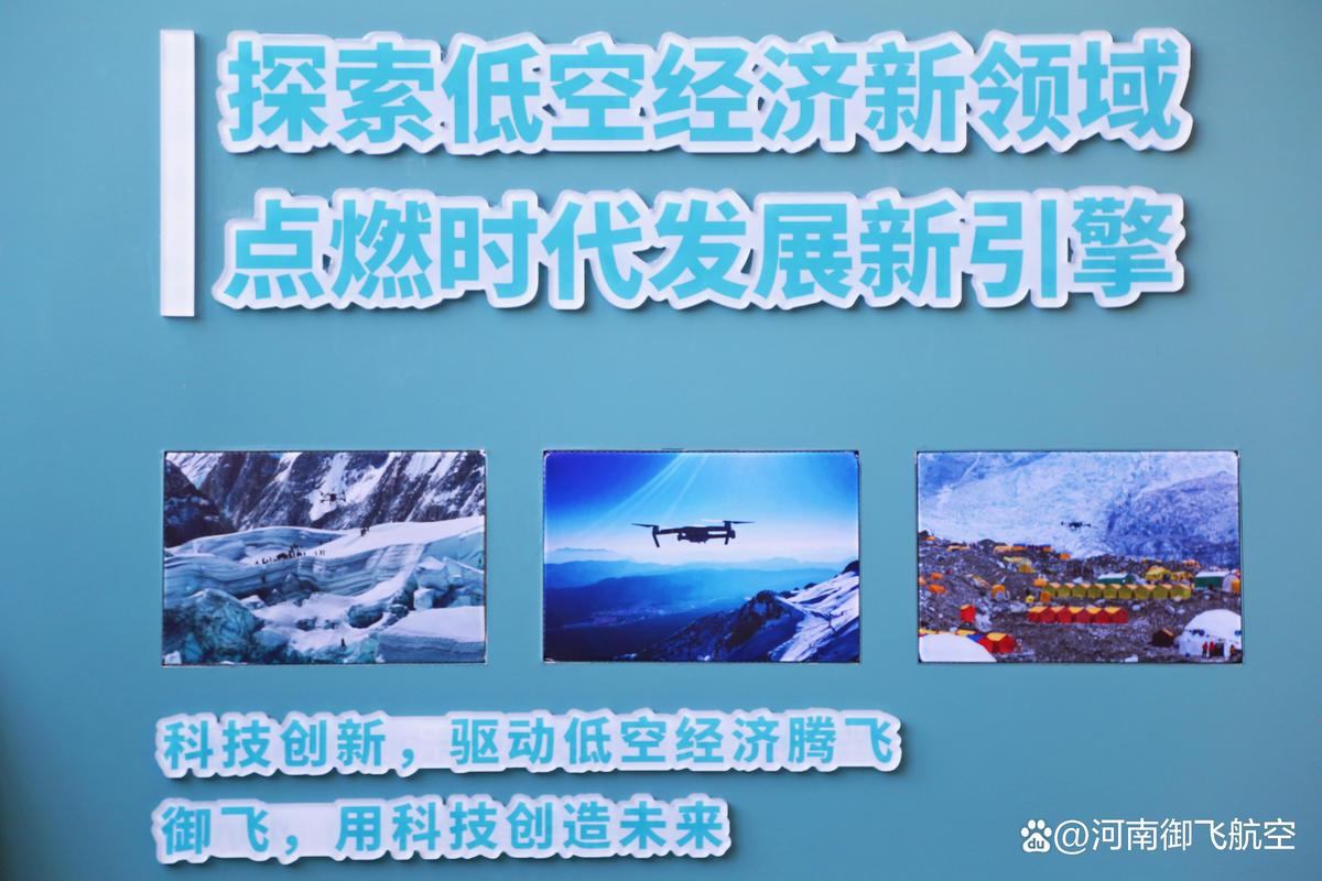 武汉网站设计平台,助力企业品牌腾飞的新引擎 武汉网站设计平台,助力企业品牌腾飞的新引擎 番茄病虫害防治