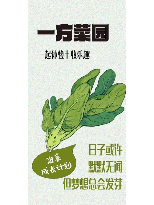 绿色盛宴,探寻蔬菜网站海报设计的独特魅力 绿色盛宴,探寻蔬菜网站海报设计的独特魅力 土壤施肥