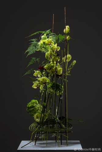 花艺设计,艺术与自然的完美融合_探索造型网站的魅力 花艺设计,艺术与自然的完美融合_探索造型网站的魅力 农业常识